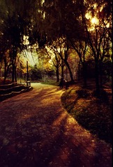 Untitled-37.jpg