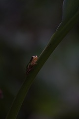 120470