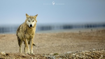 s20150523-8Z1A2277