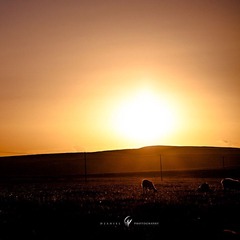IMG_0162-2_nEO_IMG.jpg