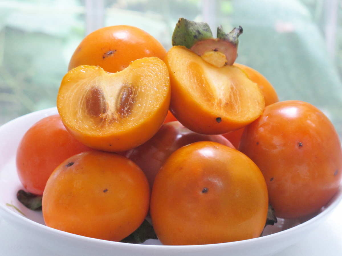 罗田甜柿 脆柿子