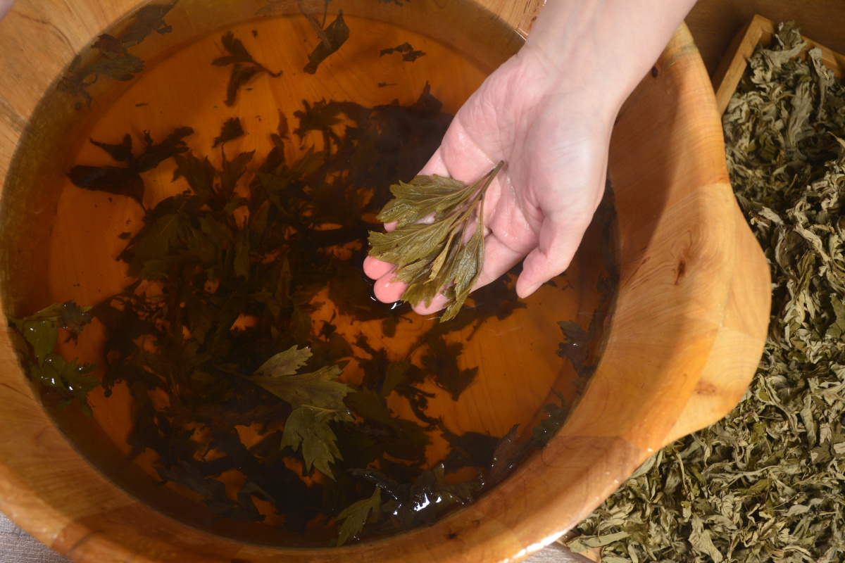 端午煮艾叶水泡脚