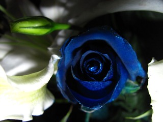 IMG_3044.JPG