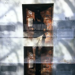 春光乍泄