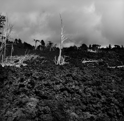 IMG_4173