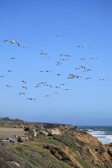 IMG_3066