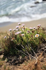 IMG_3036