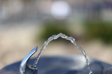 IMG_0913