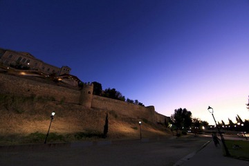 IMG_2929.jpg