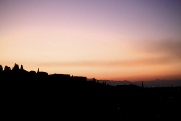 IMG_4311.jpg