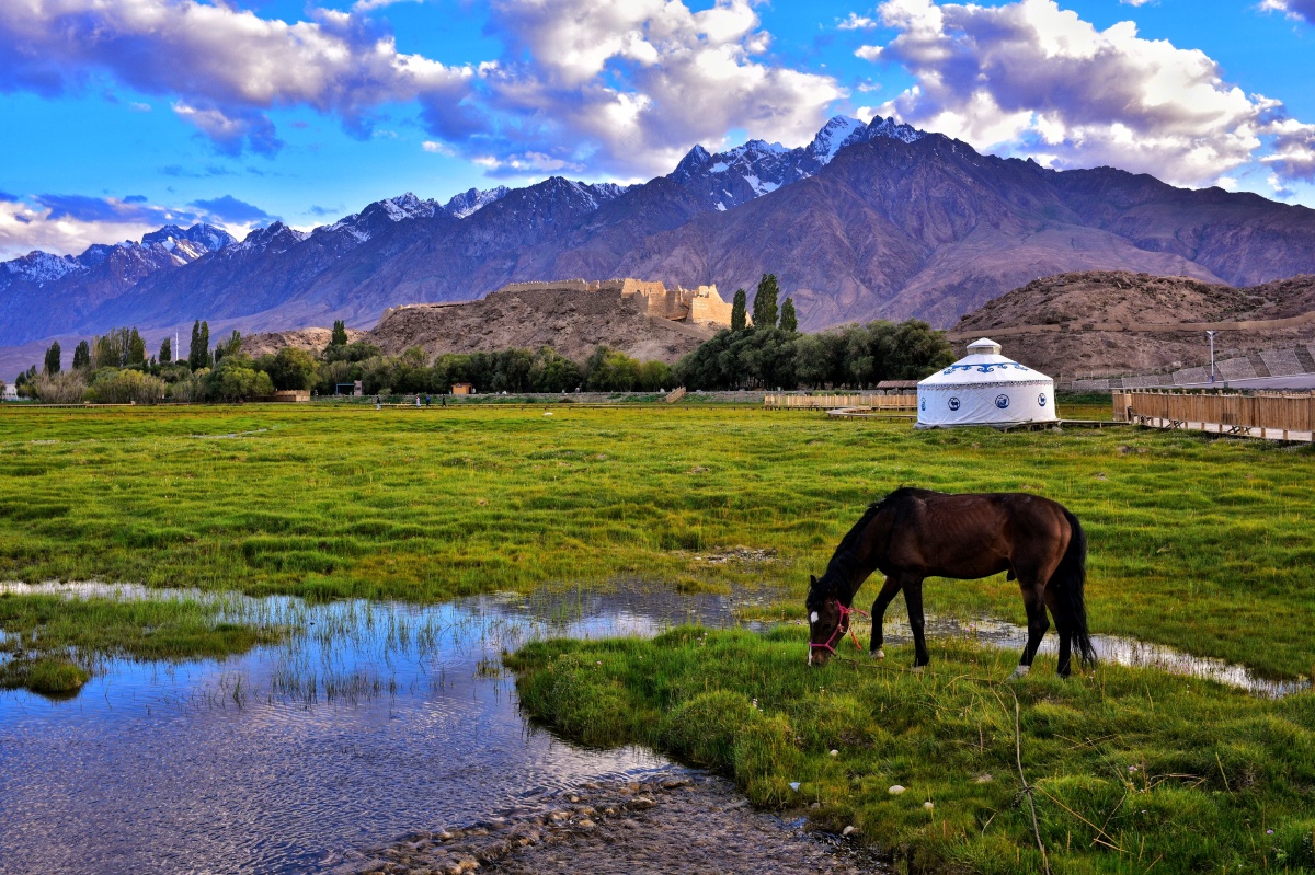 石头城下的金草滩
