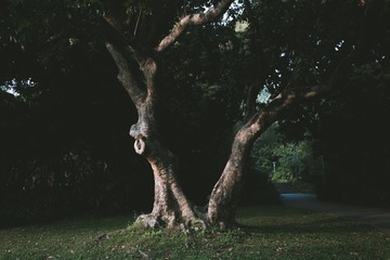 001