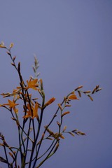 A0D36C98-6DE6-4B4F-BB47-05BDC79B74AA/L0/001