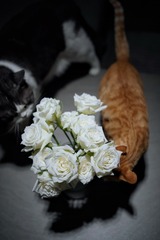8F301B97-4EE5-40FE-A3AD-F0C3B8AC30A9/L0/001
