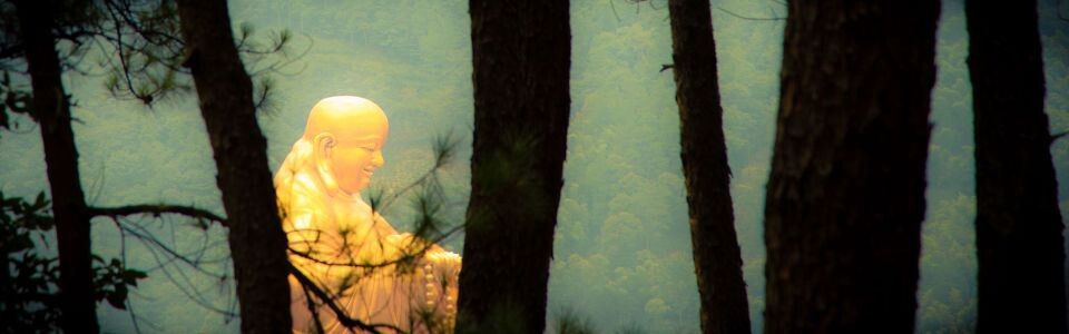 丛林中的弥勒佛<br />
