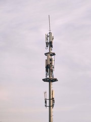 1000005110