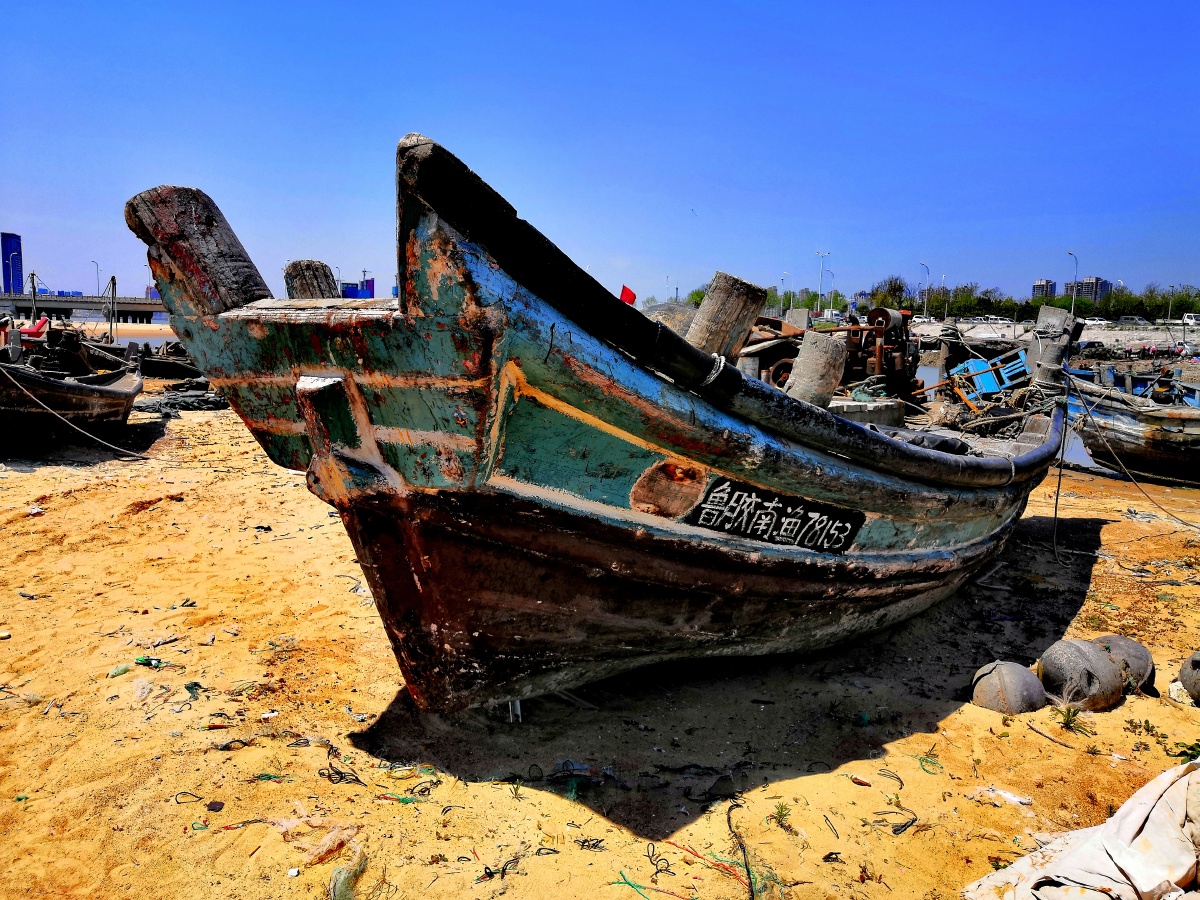 青岛渔港老马伏骥