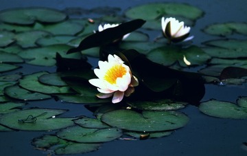 IMG_9624.jpg
