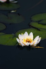 IMG_9631.jpg