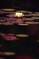 IMG_9637.jpg