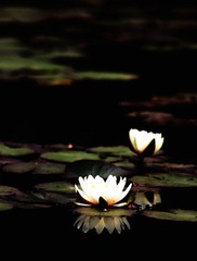 IMG_9658.jpg