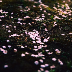 268A0124.jpg