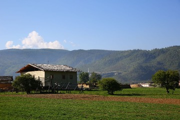 IMG_8728.JPG