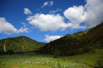 IMG_8748.JPG