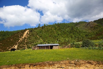 IMG_8756.JPG