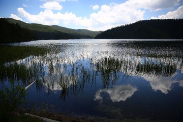 IMG_9082.JPG