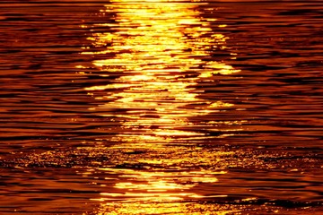 _DSC0225