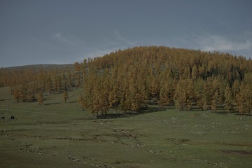 3742179