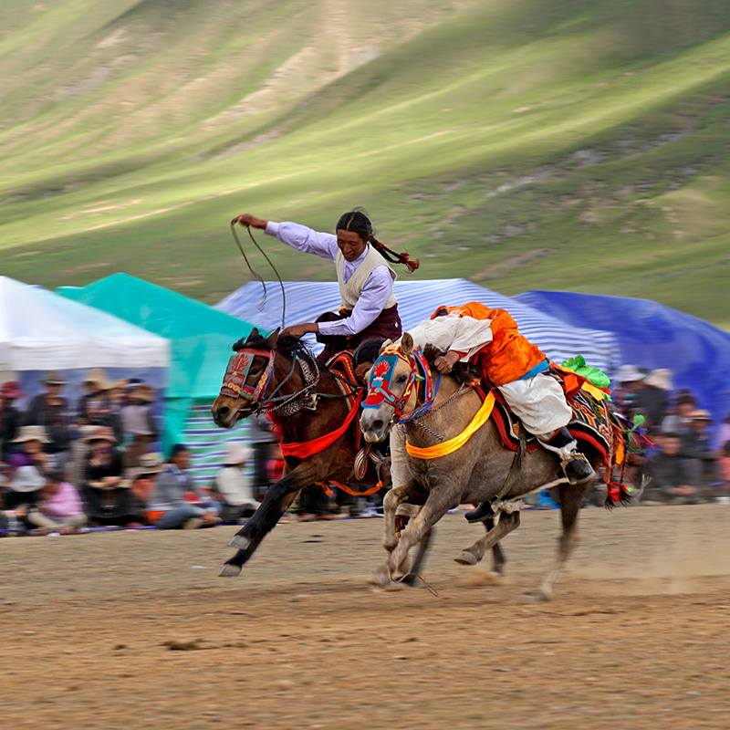 草原赛马节西藏那曲