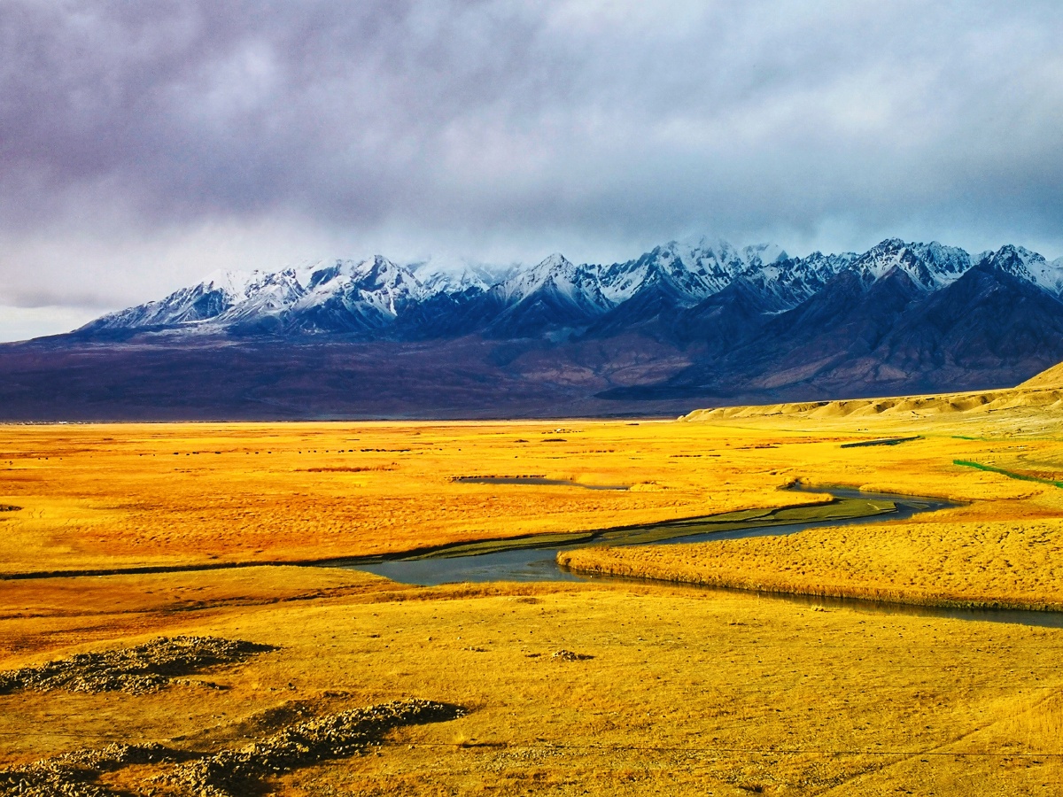 塔合曼湿地金草滩 ————南疆行之湖泊湿地8