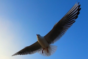 DPP_02009.JPG