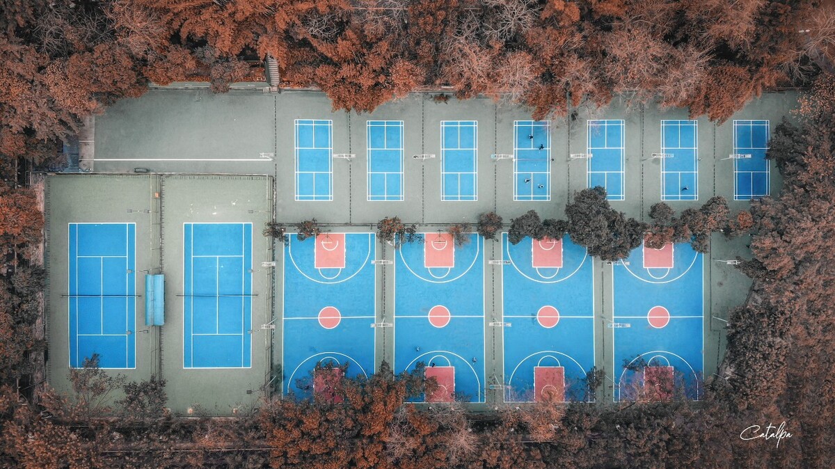 重庆大学