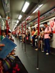 P8100186