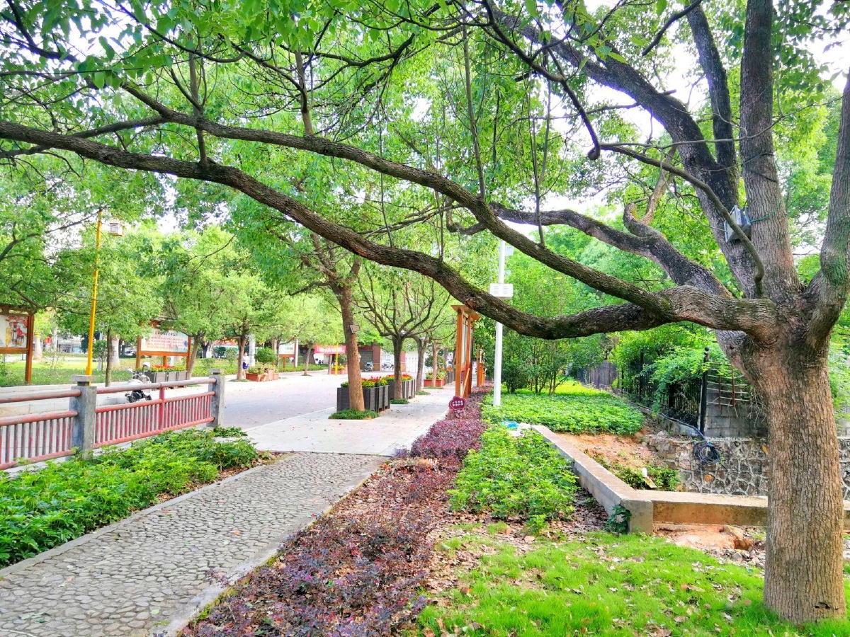 天然氧吧武平碧水公园