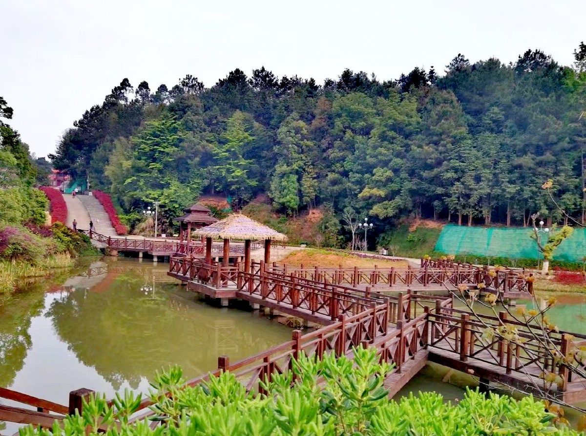 天然氧吧武平碧水公园