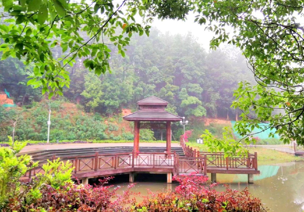 天然氧吧武平碧水公园