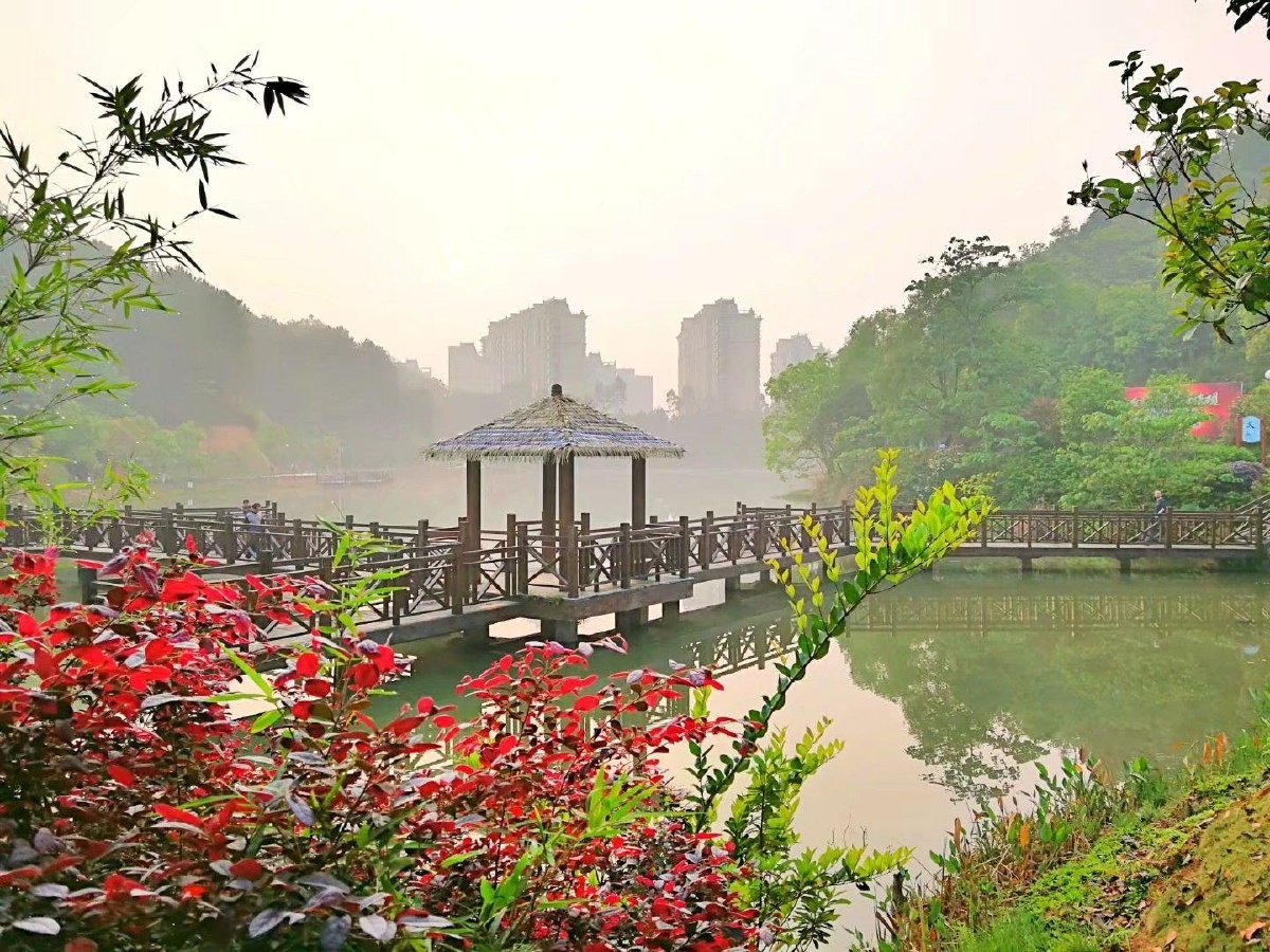 天然氧吧武平碧水公园