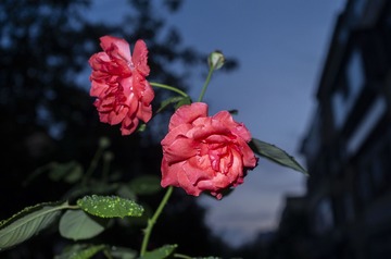9F55FEB9-CBF9-4549-A23F-344CA59CA7E8/L0/001