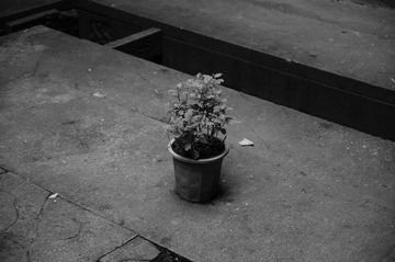 DSC_0184.JPG