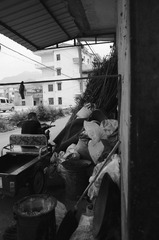 DSC_0203.JPG