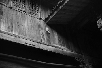 DSC_0242.JPG