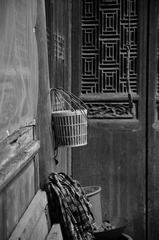 DSC_0247.JPG