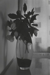 DSC_0305.JPG