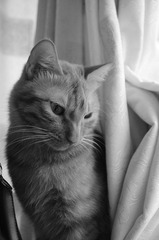 DSC_0314.JPG