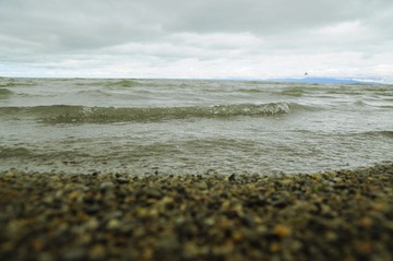 DSC_0493.jpg