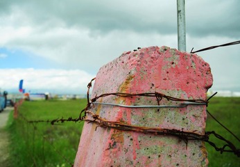 DSC_0651.jpg